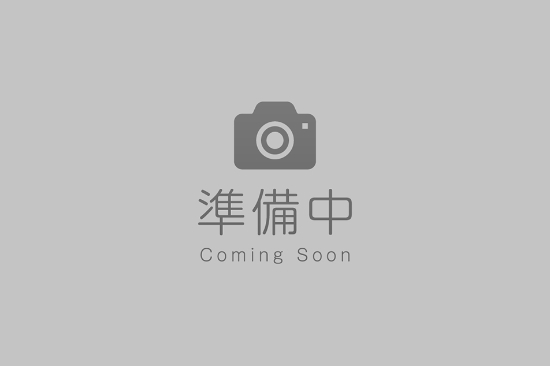 歯面清掃器